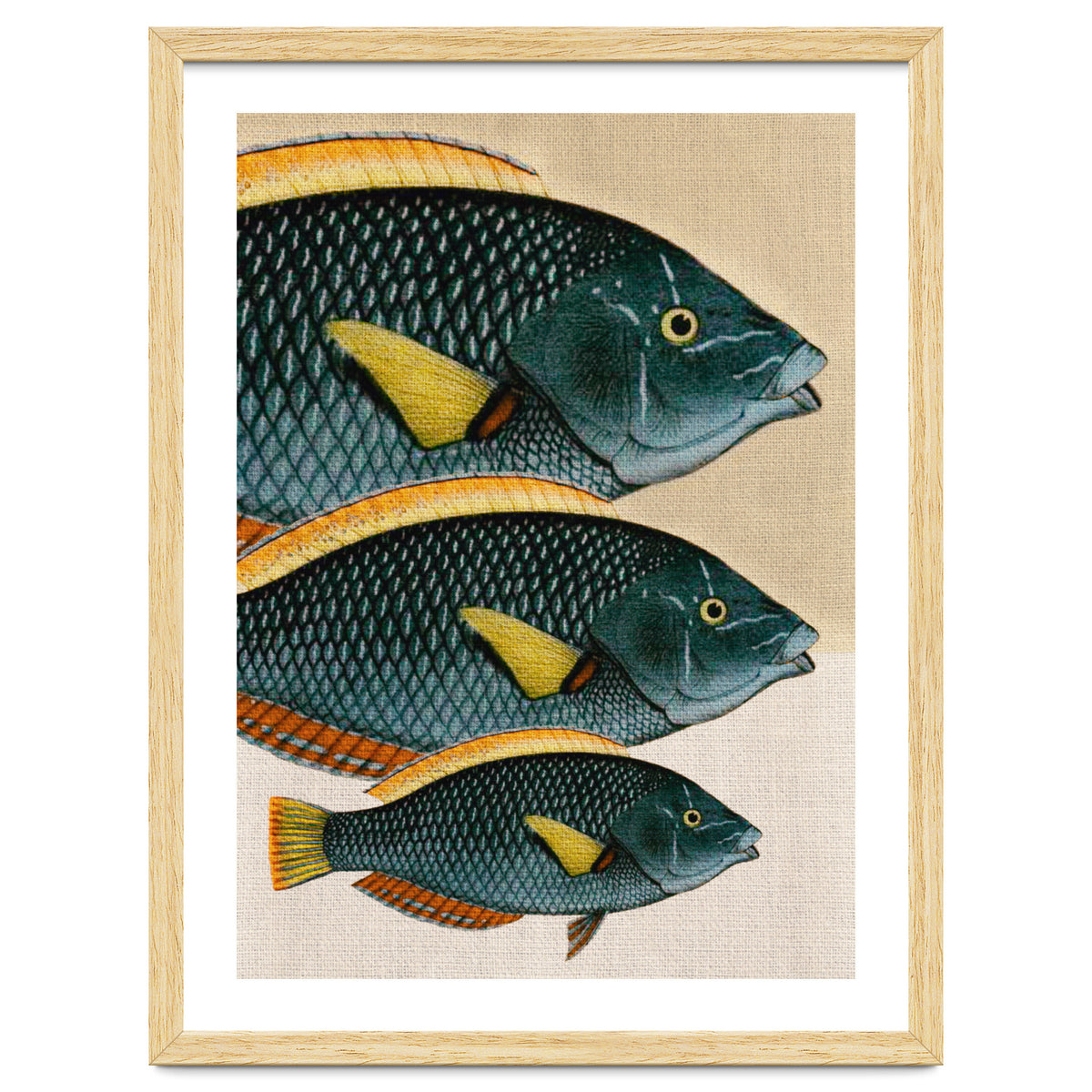 Fish Classic Designs 10