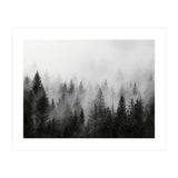 Black and White Forest (Print Only) thumbnail