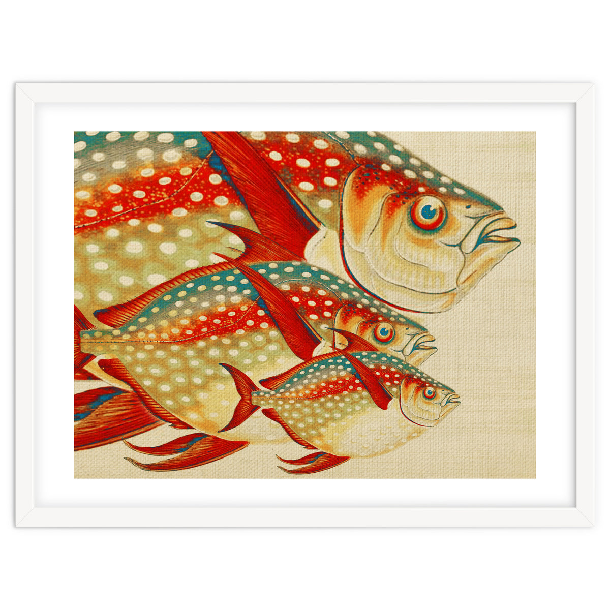 Fish Classic Designs 1