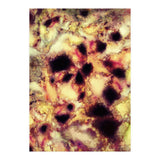 Natural Mechanism (Print Only) thumbnail
