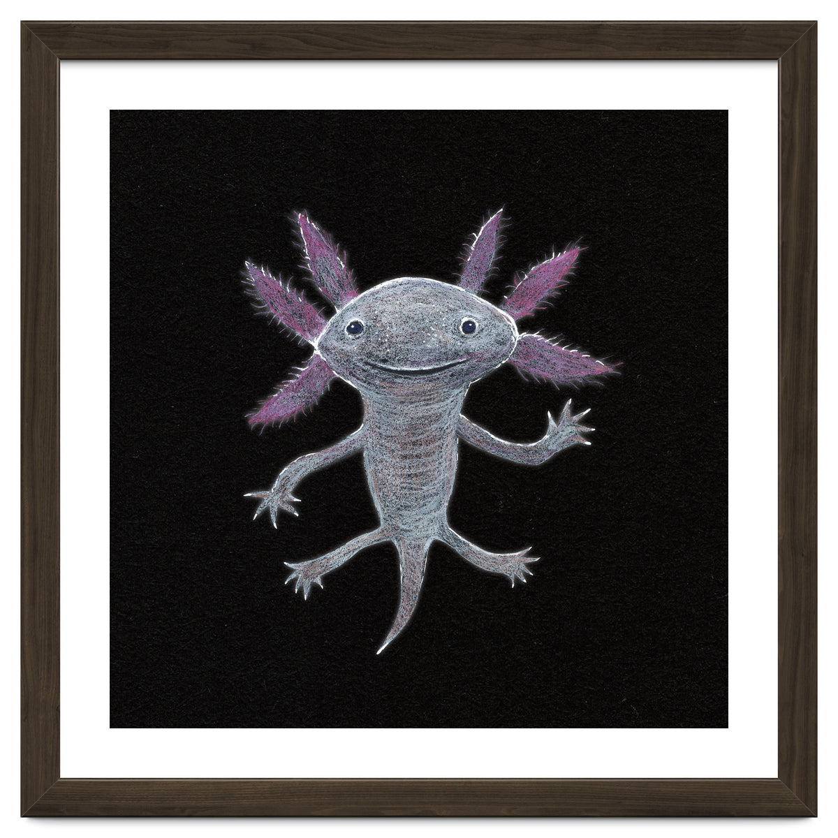 Axolotl