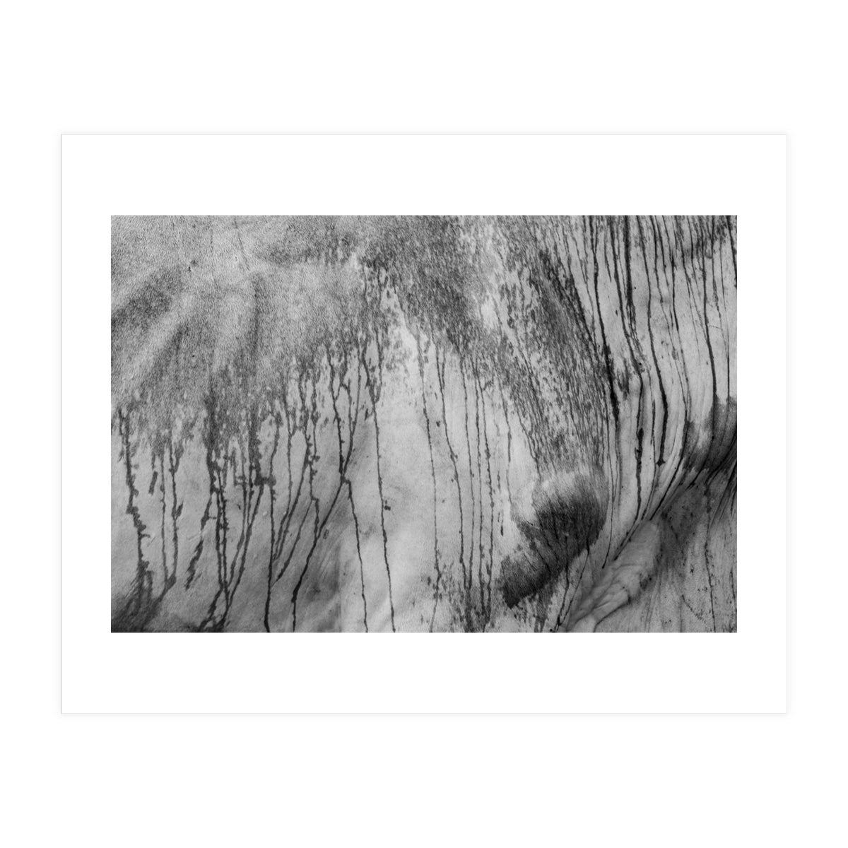 Abstract #2 (Print Only)