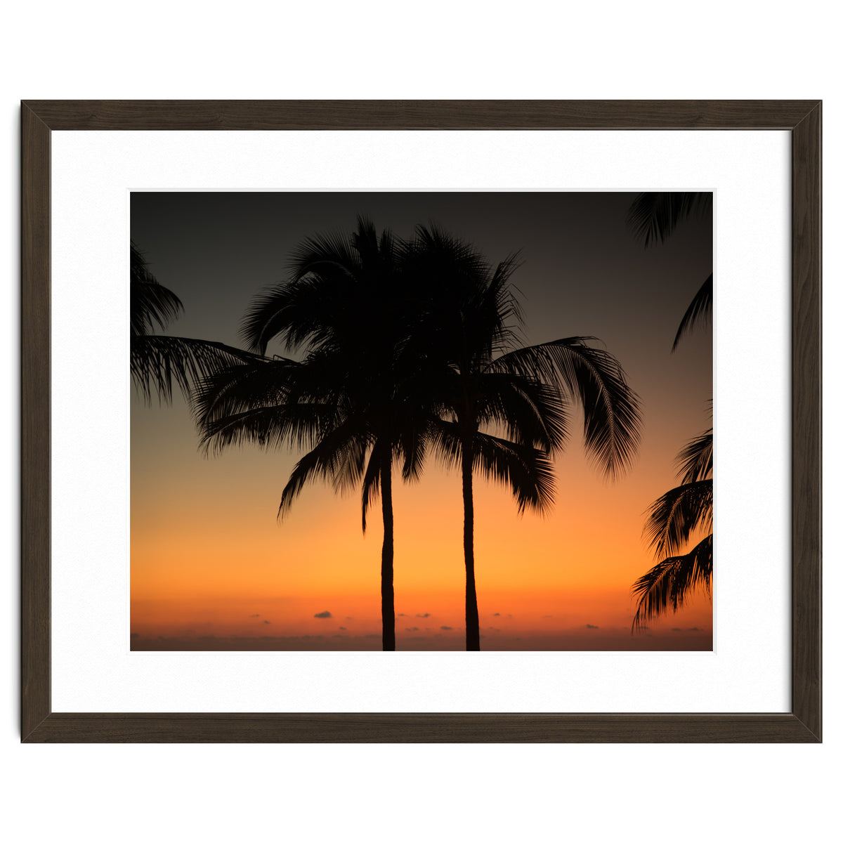 Mexico, November nights