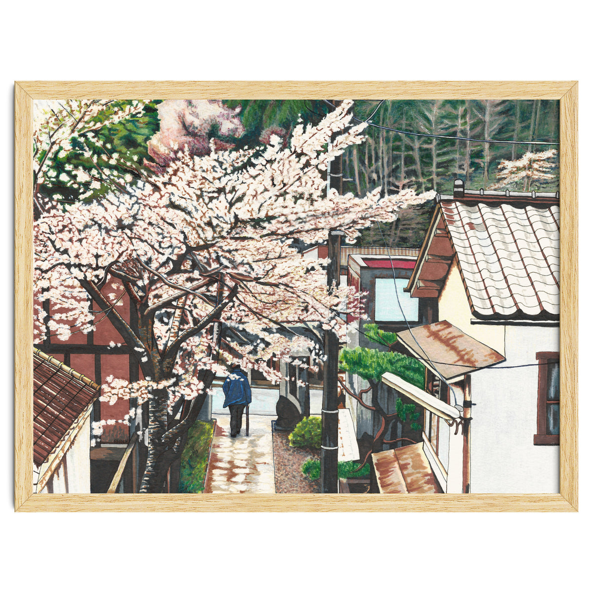 Passing by Cherry Blossoms