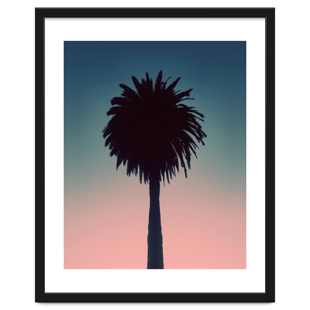 Sundown Palm