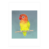 Cute yellow Fischer's lovebird (Print Only) thumbnail