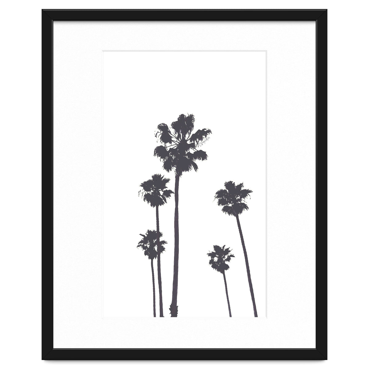 Palms & Sunset-Minimal B&W 2