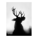 roar (Print Only) thumbnail