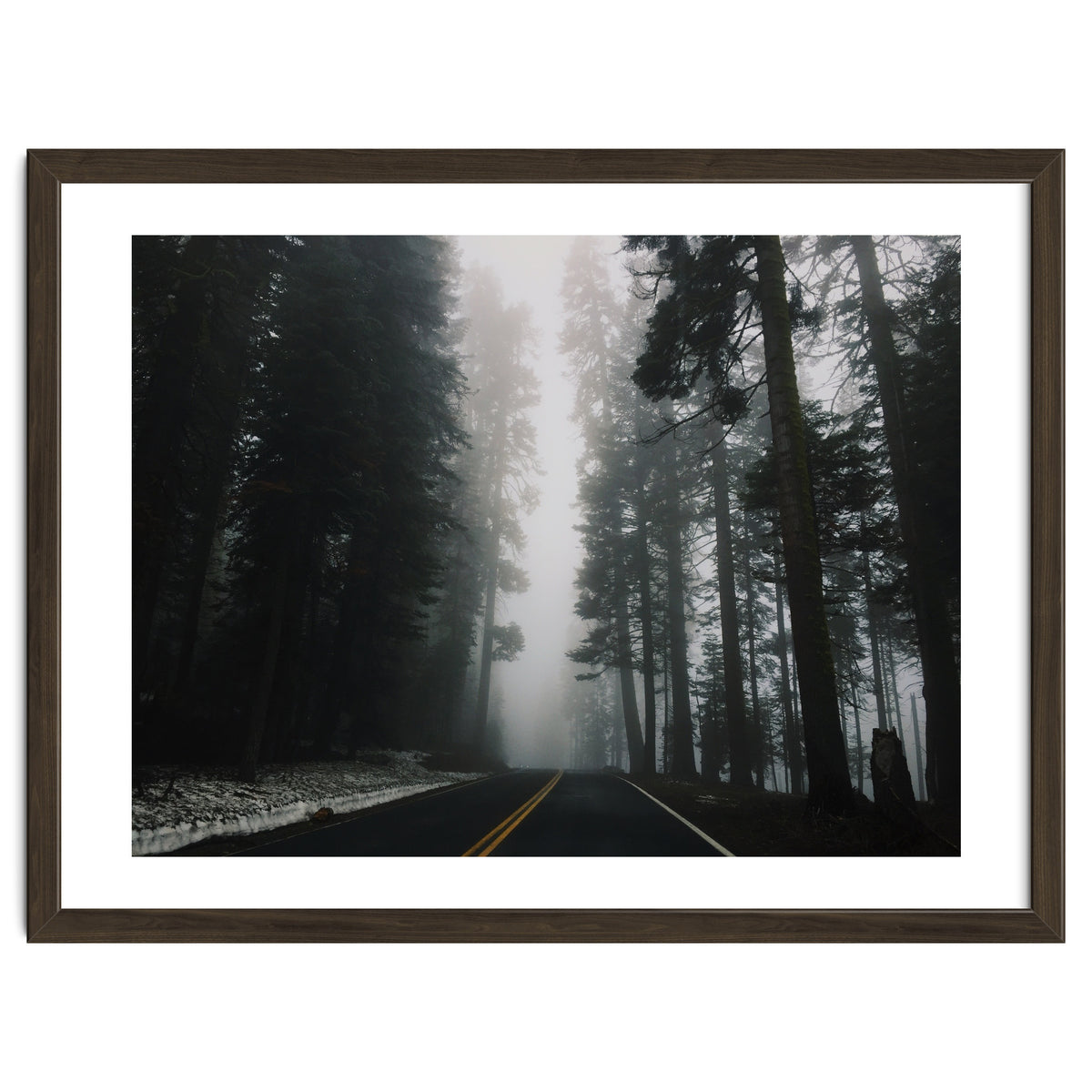 Foggy Yosemite