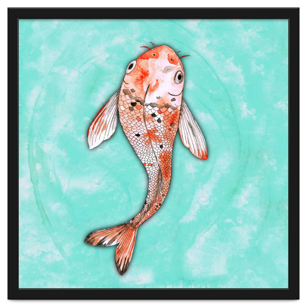 Koi fish