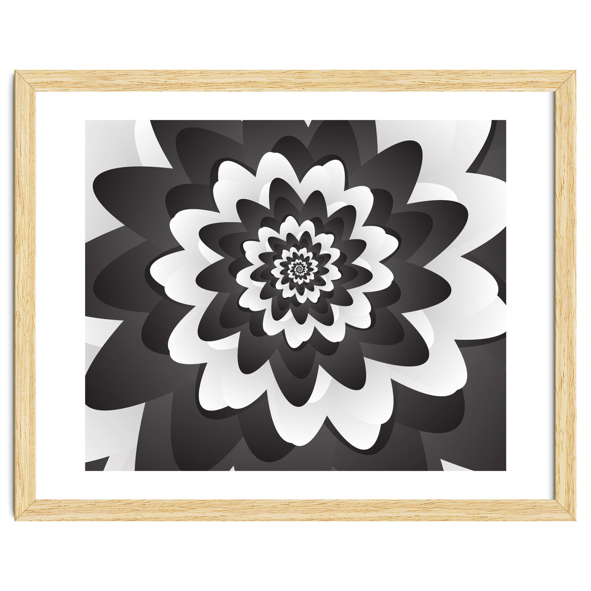 Mono Chrome Flower Spiral Pattern