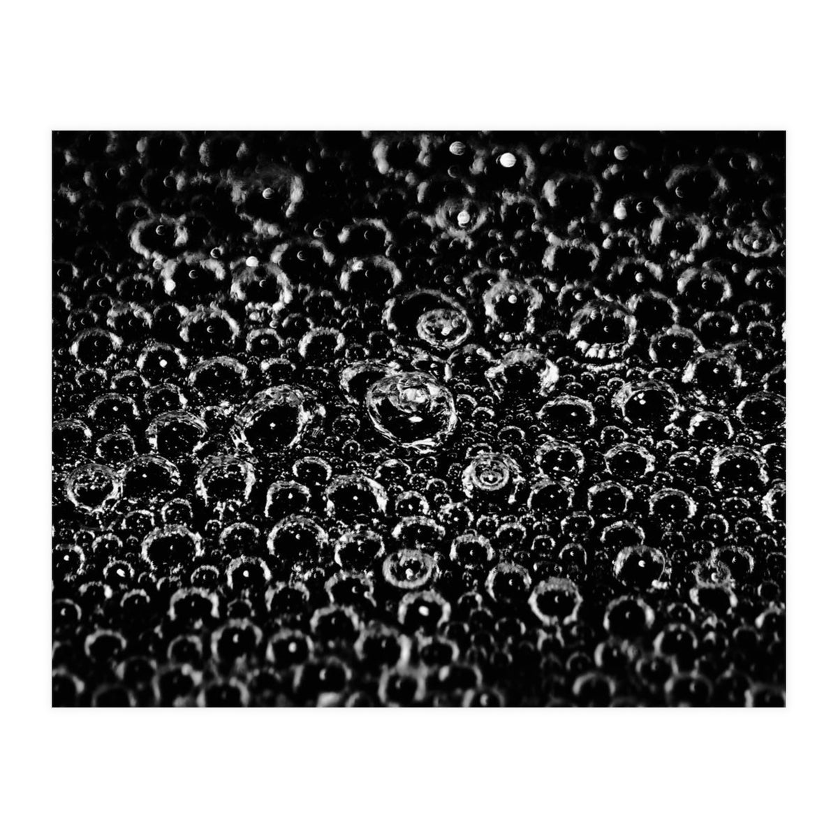 Bubbles (Print Only)