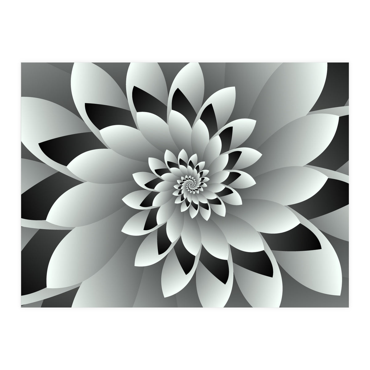 Black & White Floral (Print Only)