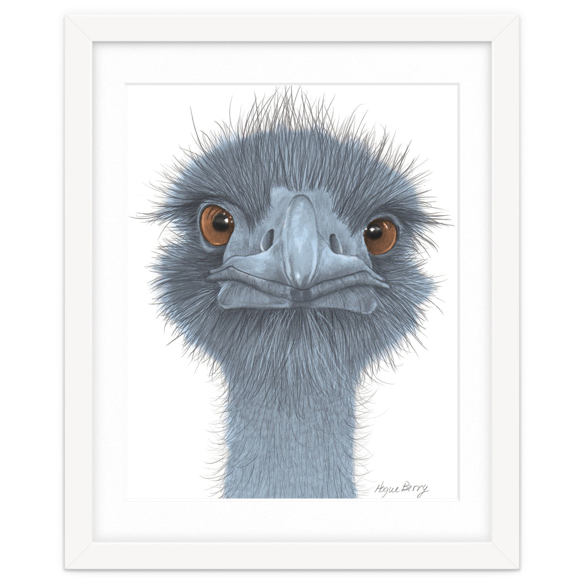 The Blue Emu