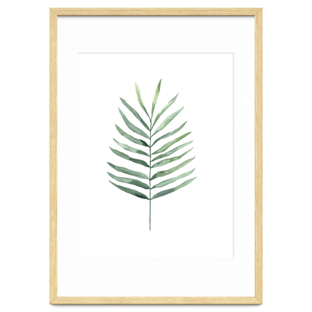 Botanical Illustration Fern