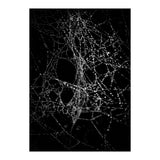 Spiderweb No 4 (Print Only) thumbnail