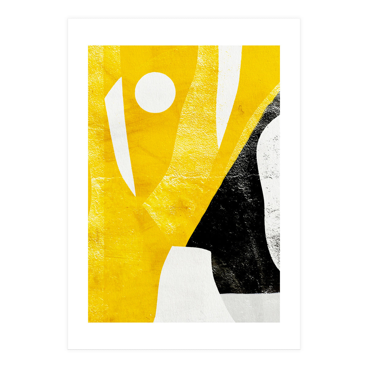 Coiote 2 (Print Only)