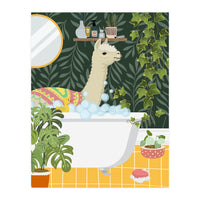 Llama Bathing  (Print Only)