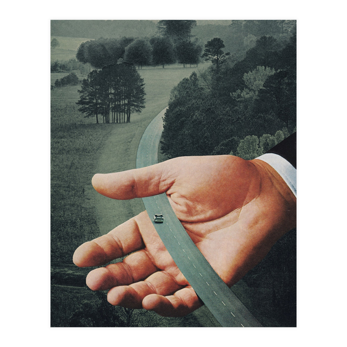 Comfort Zone (Print Only)