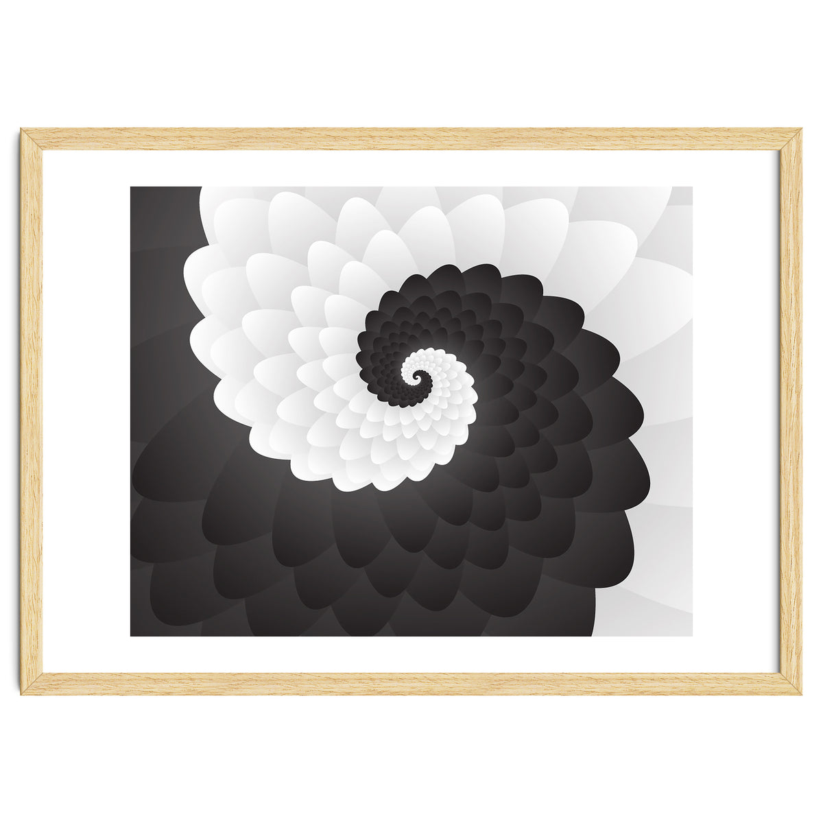 Mono Chrome Spiral Pattern