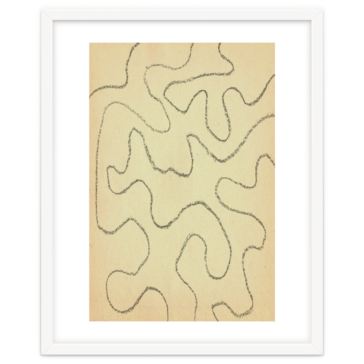 Abstract organic lines