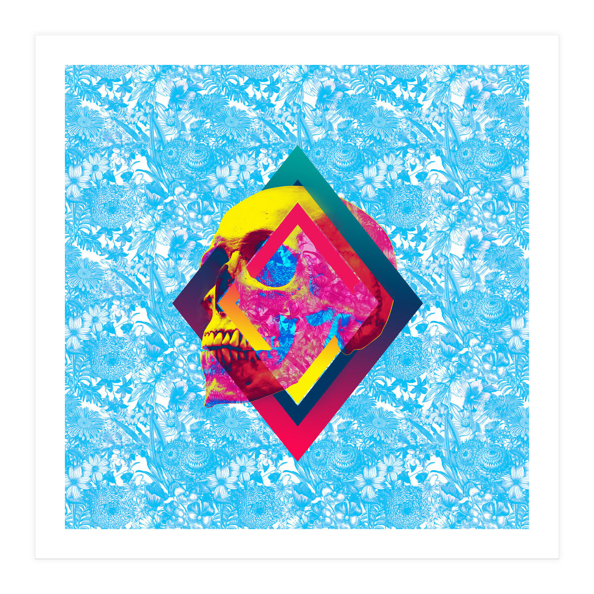 Lifeful Skull  (Print Only)