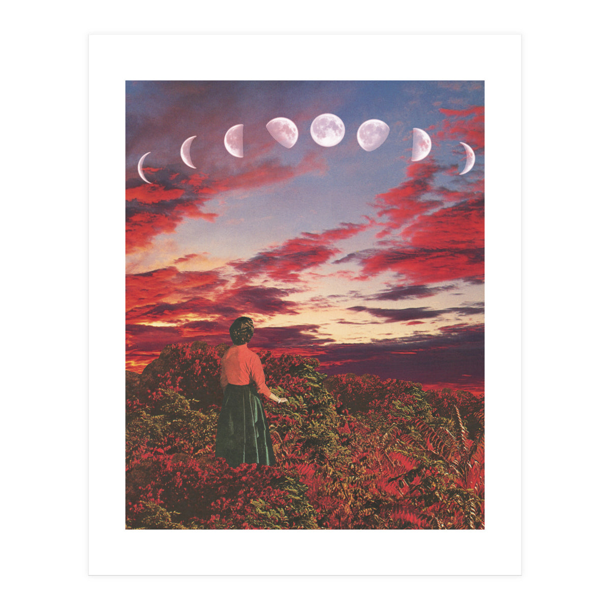 Crimson Paradise (Print Only)