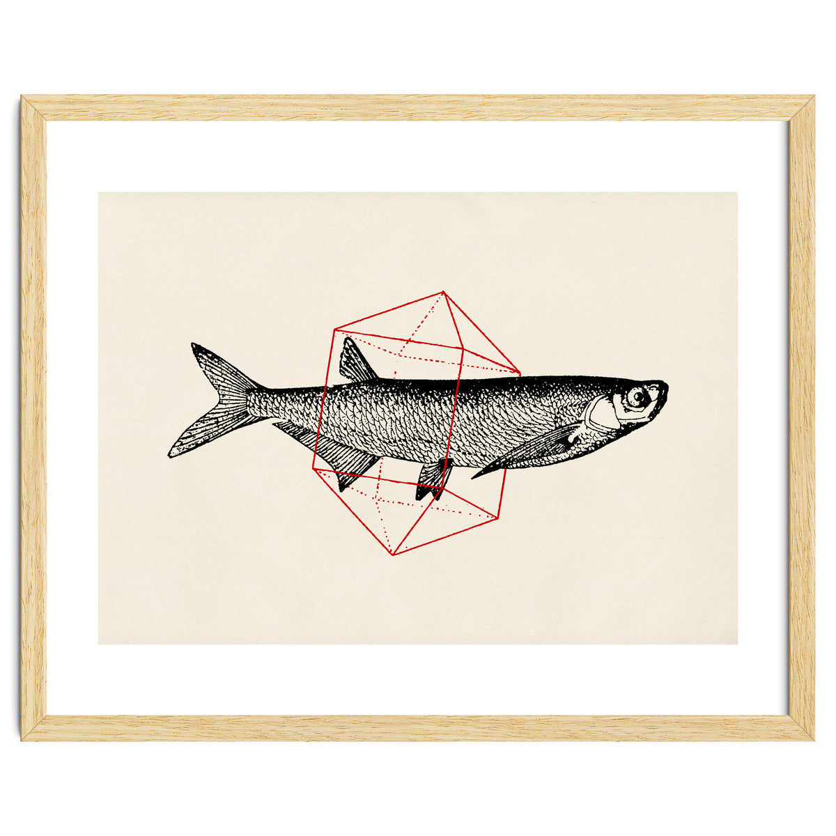 Fish In Geometrics II