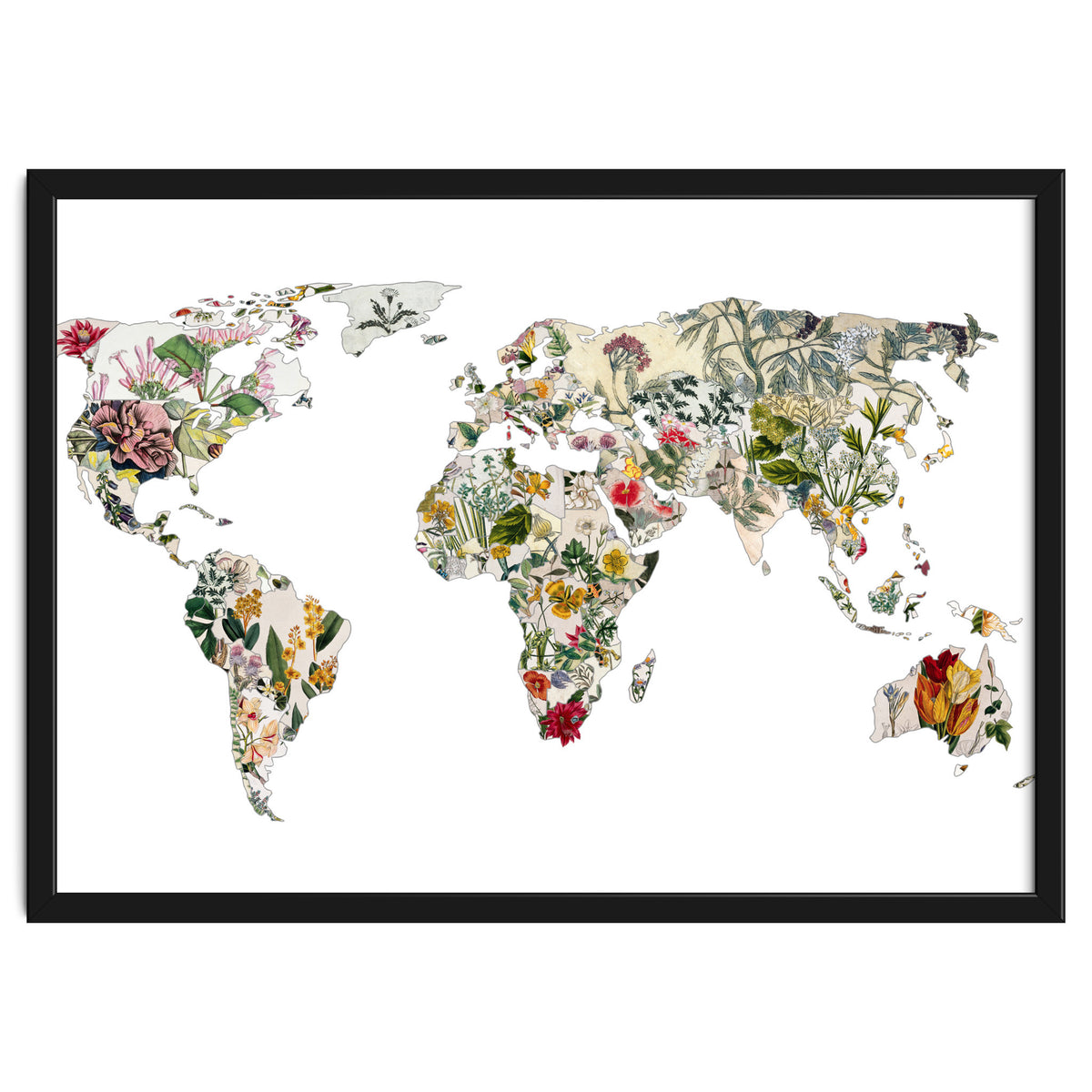 Vintage Botanical Map