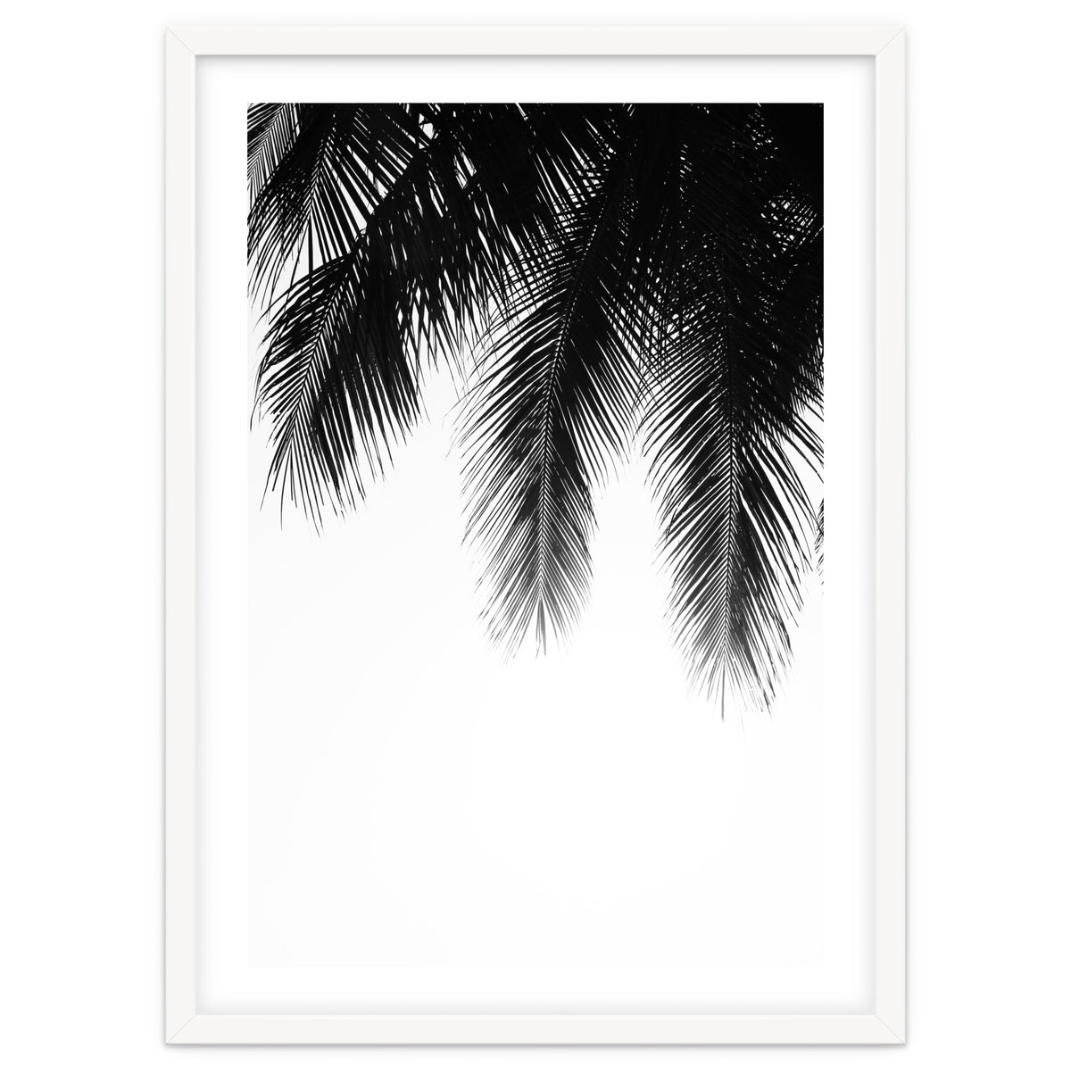 Palm leaves
