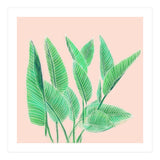 Modern Hand Painted Tropical Green Watercolor Leaf Bird Of Paradise On Pastel Pink (Print Only) thumbnail