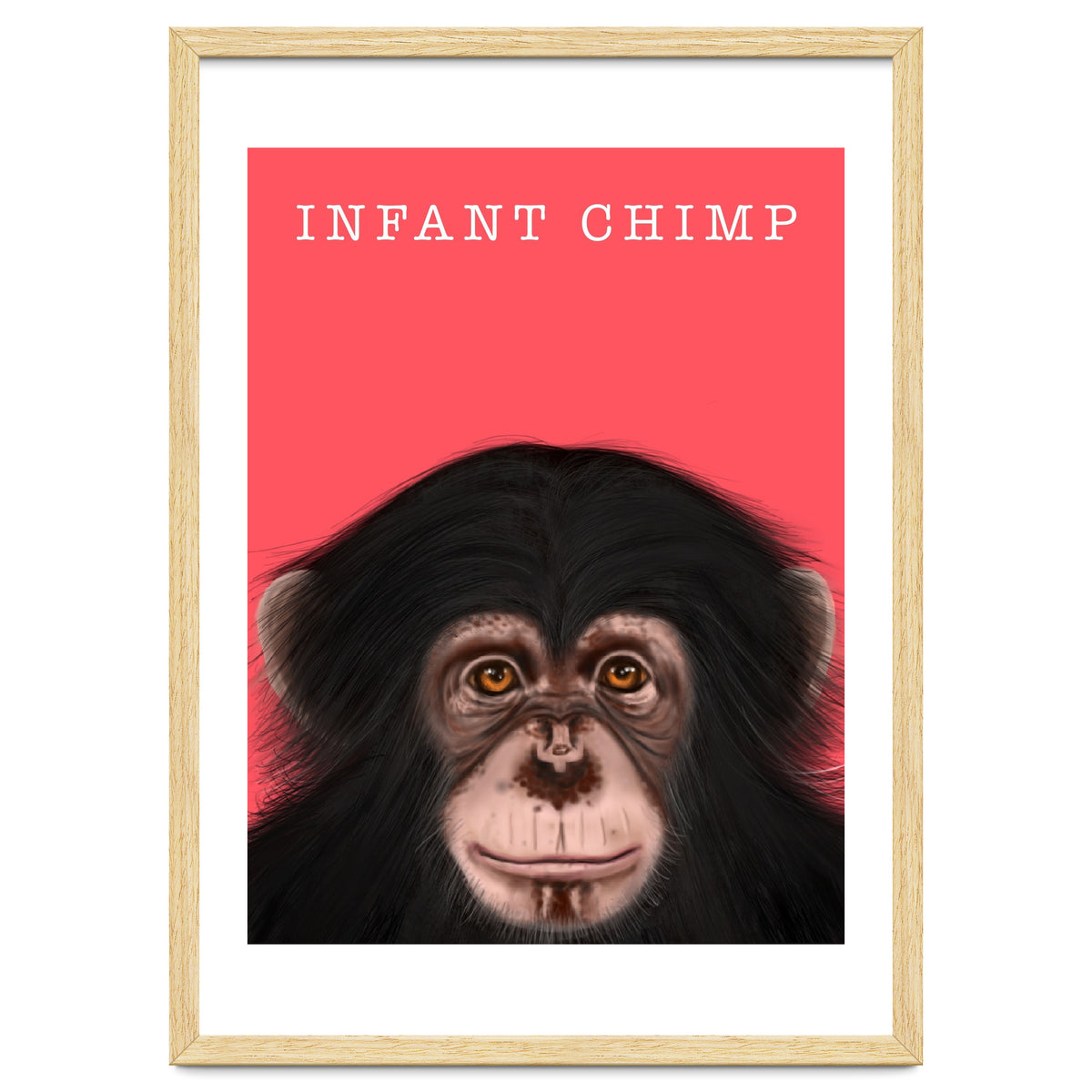 Infant Chimp