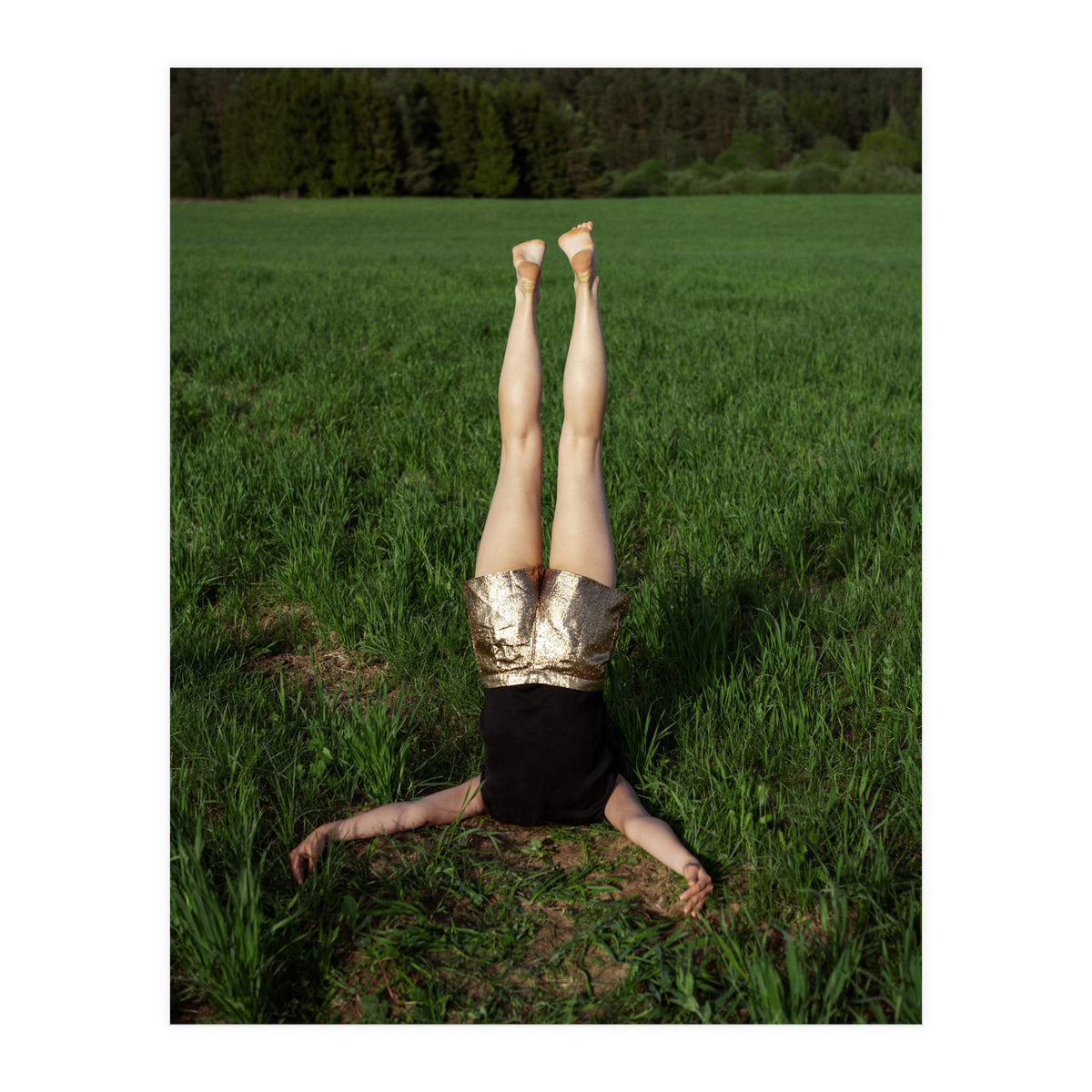 Gravity (Print Only)