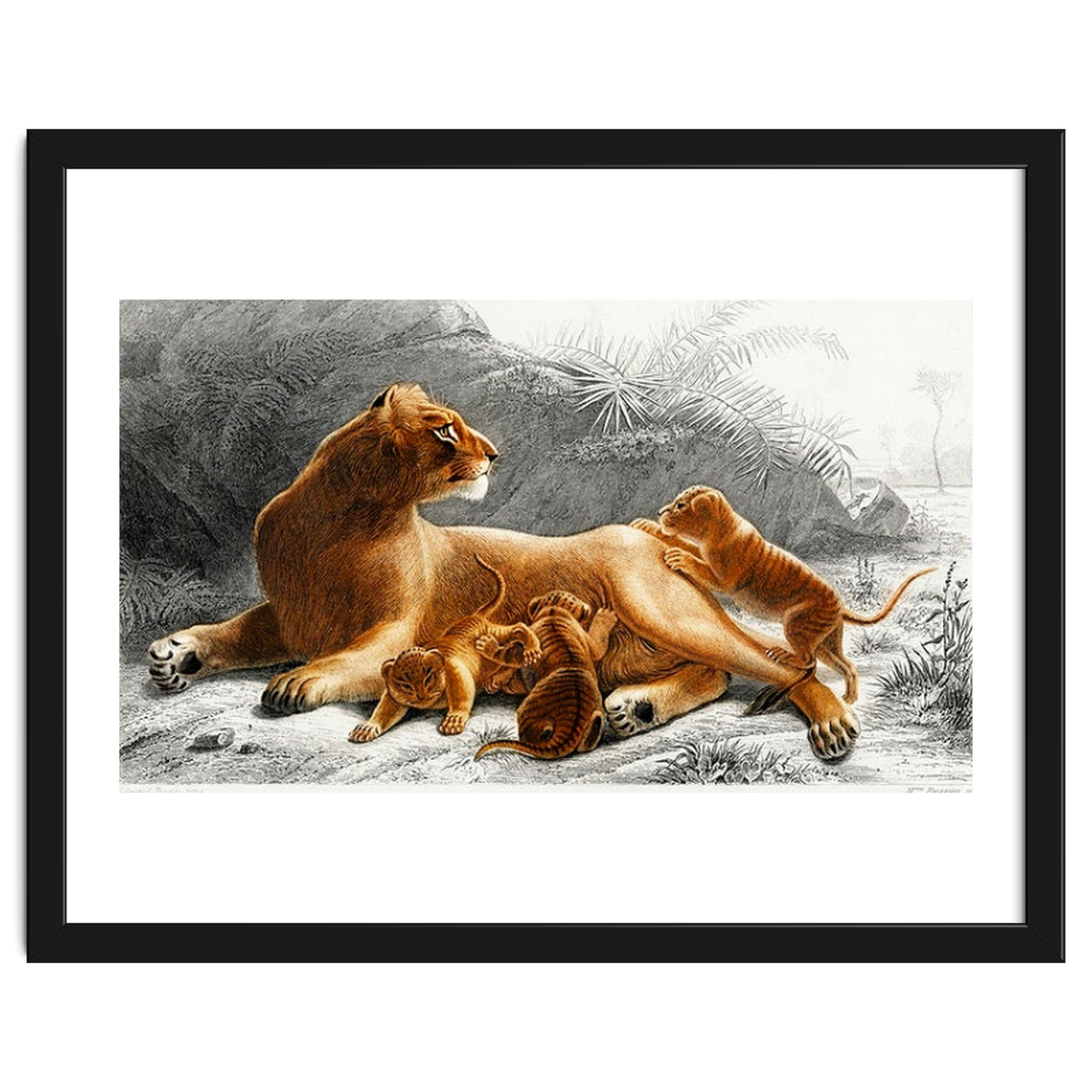 Fails Leo illustrated