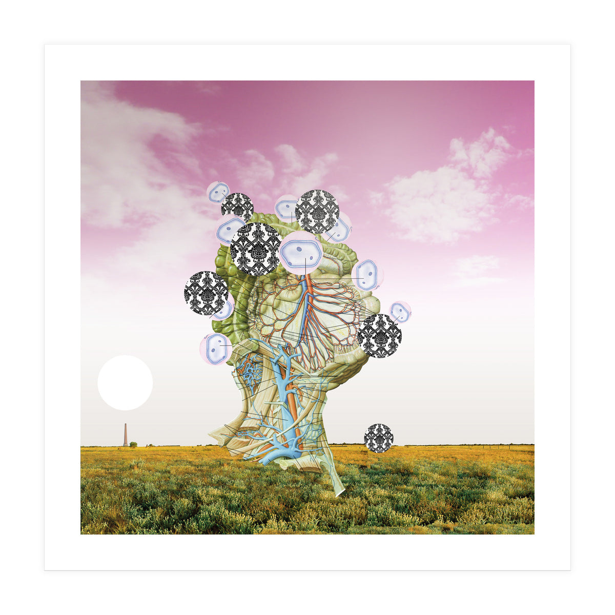 Flesh And The Tree (Print Only)