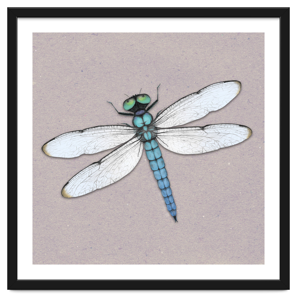 Blue dragonfly