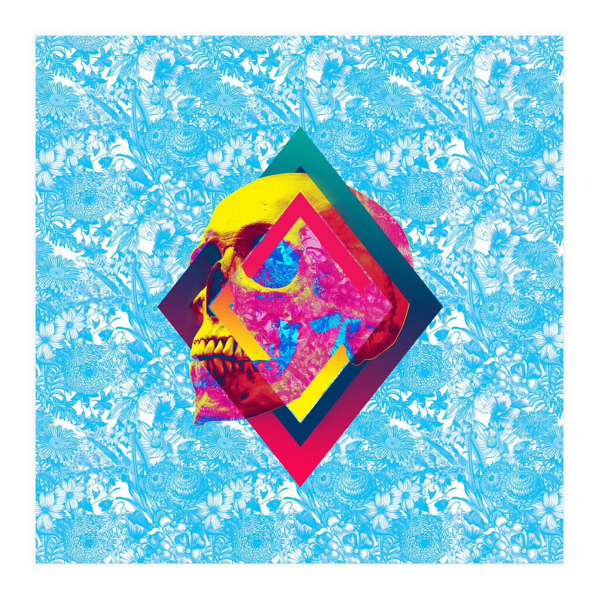 Lifeful Skull  (Print Only)