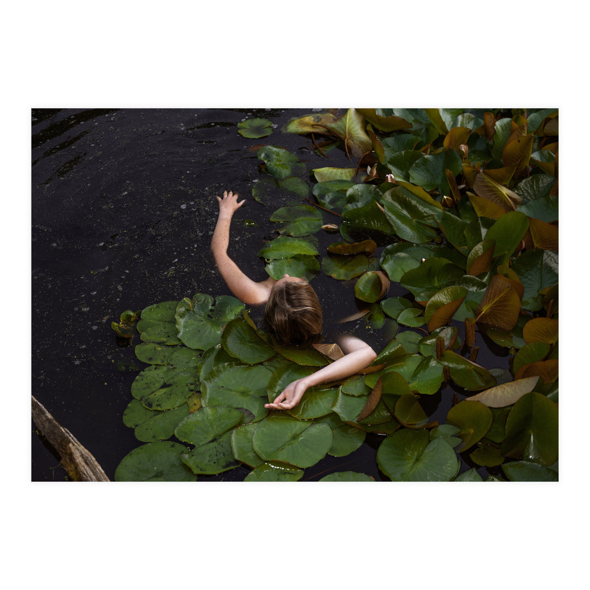 This is Not what You think It is (Print Only)