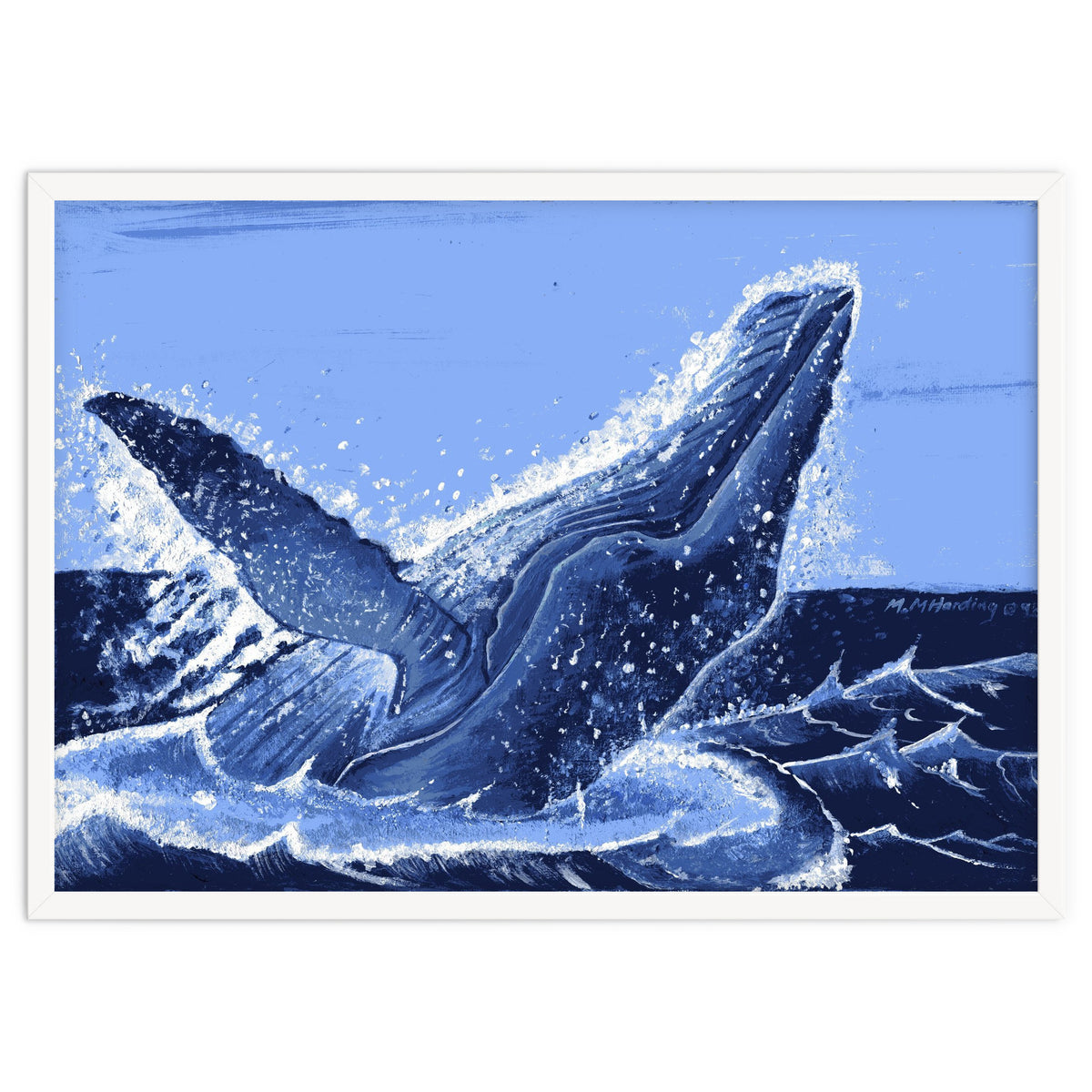 Humpback Whale Breaching