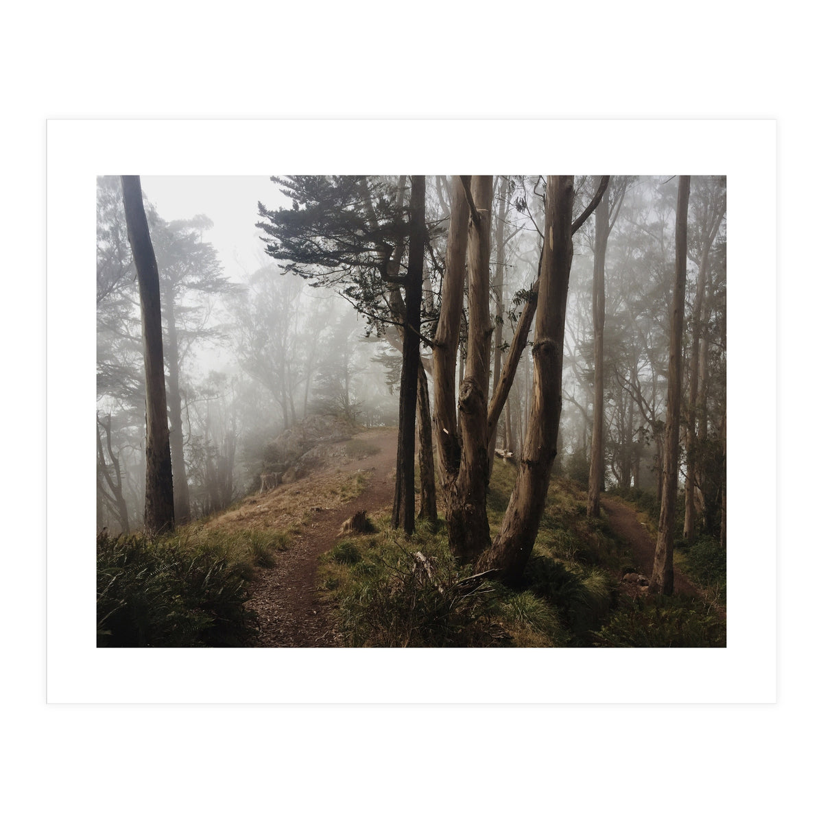 Mt. Davidson I (Print Only)