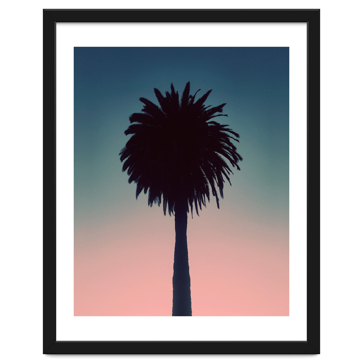 Sundown Palm