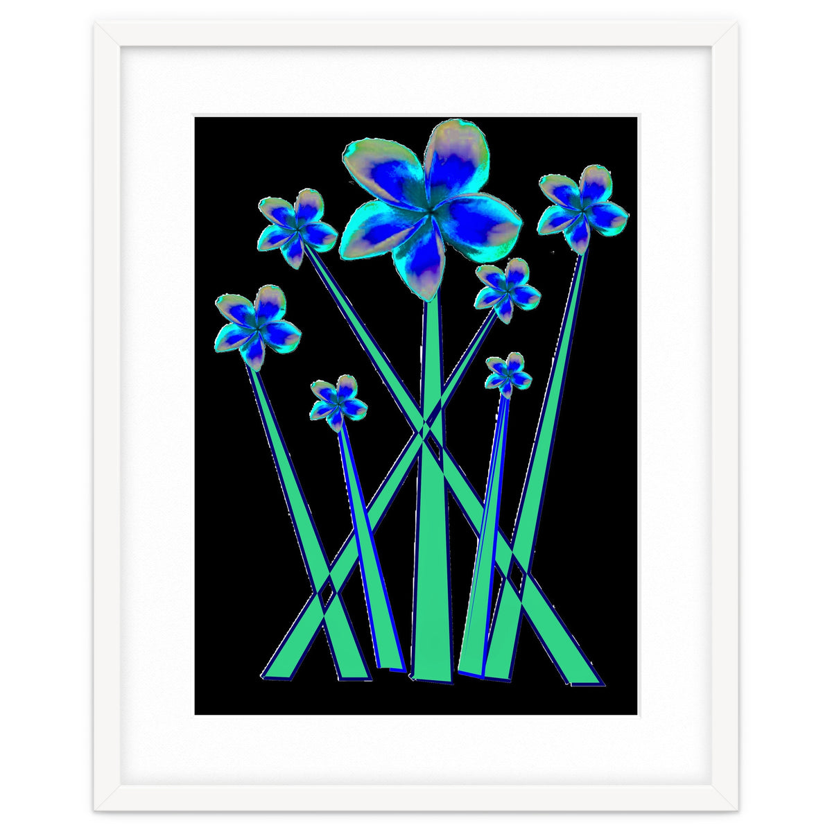 Blue flowers on black.