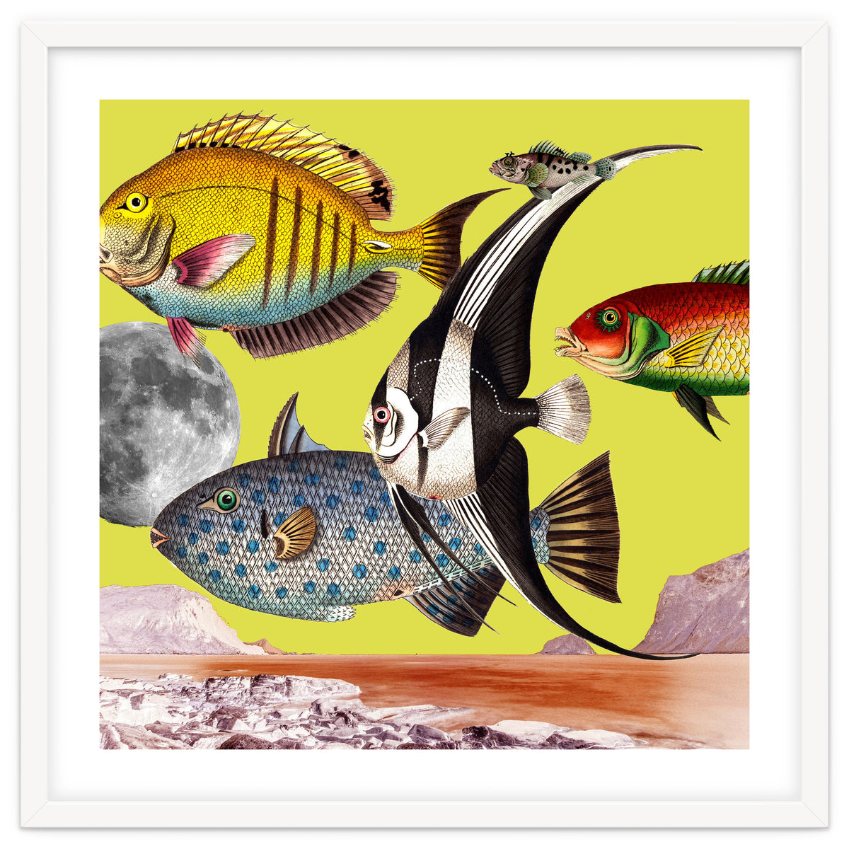 Plenty Of Fish In The Sea Yellow