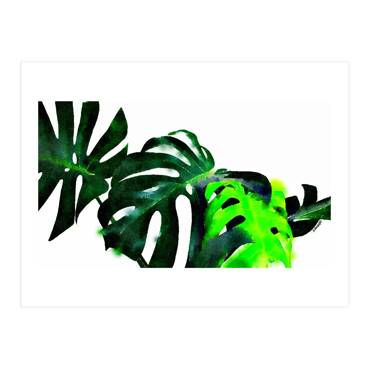 Fresh Leaves (Print Only)