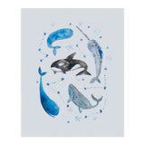 Whales (Print Only) thumbnail