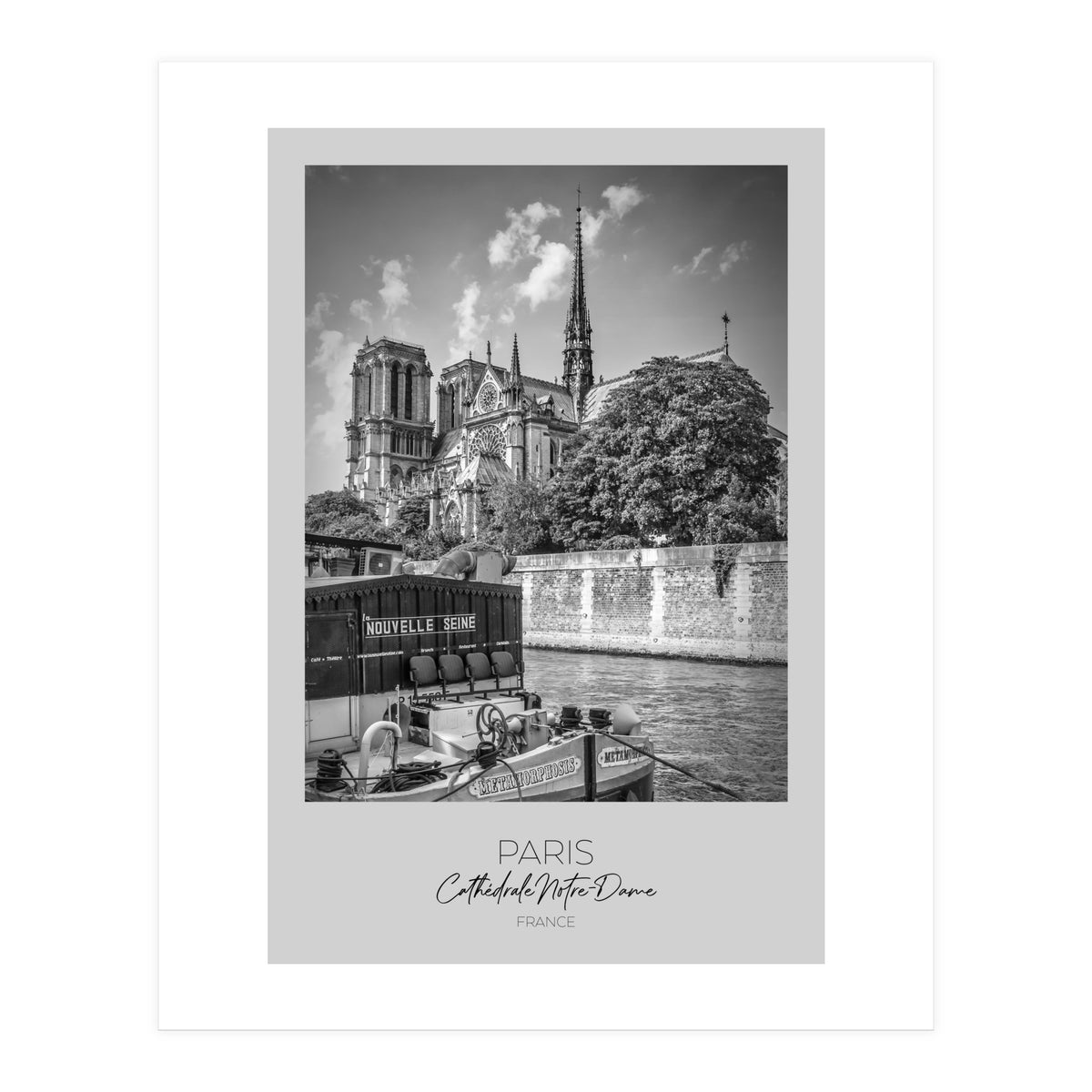 In focus: PARIS Cathedral Notre-Dame  (Print Only)