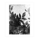 Leaves #1 (Print Only) thumbnail