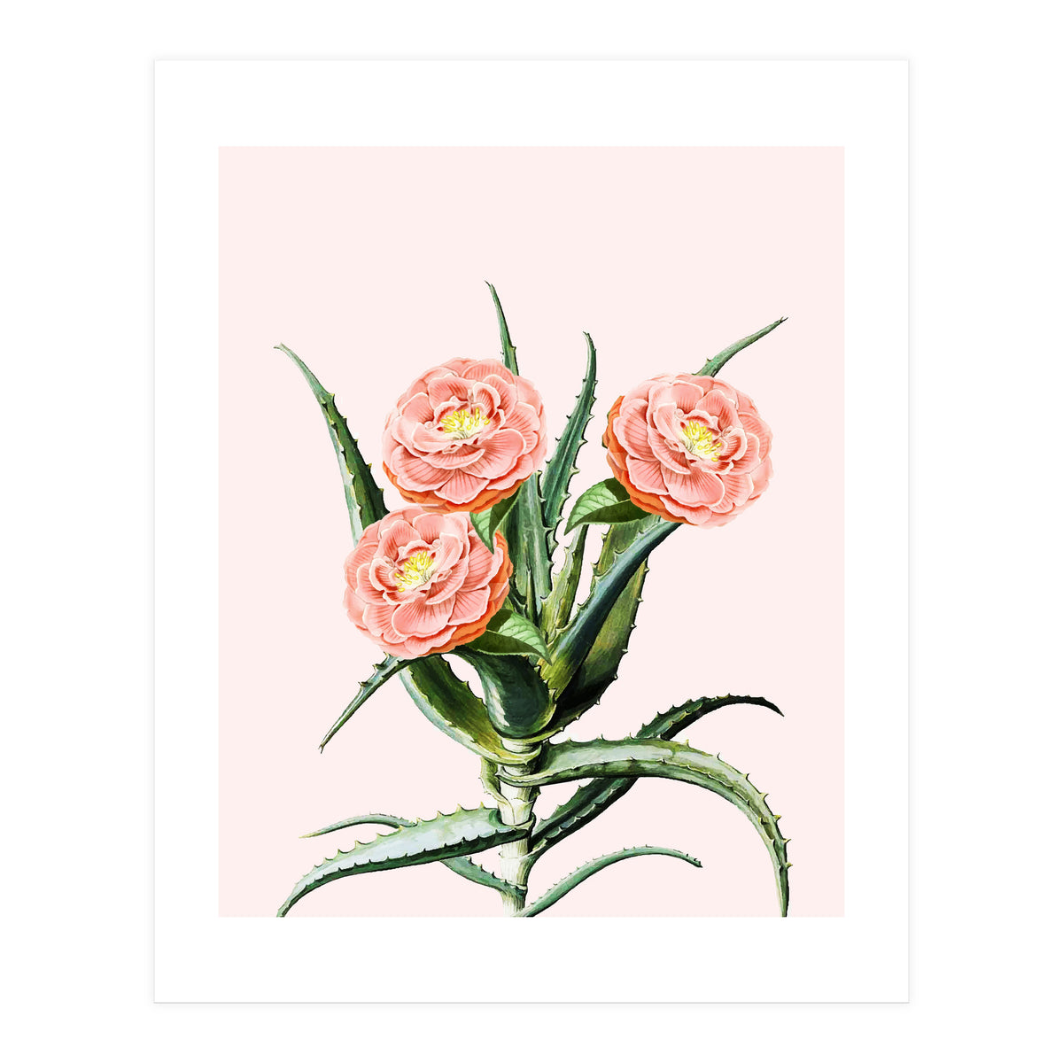 Blush Cactus V2 (Print Only)