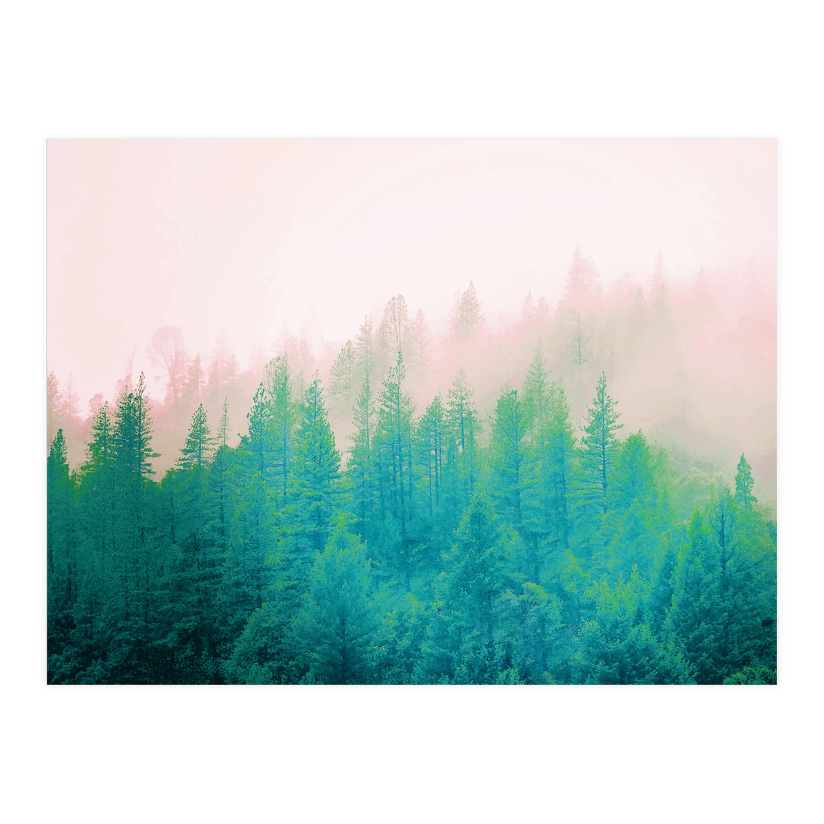 Forest Fog V2 (Print Only)