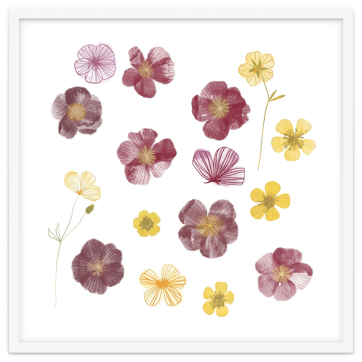Pressed Flowers